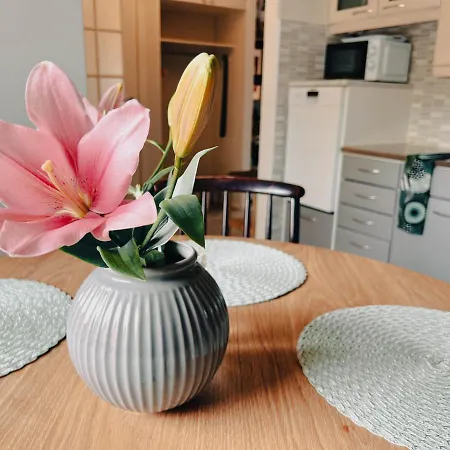 Pieni Lomahuoneisto Ja Ulkoporeallas Appartement