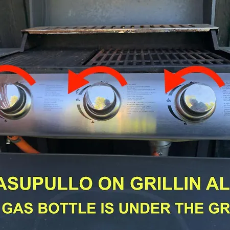 Apartamento Pieni Lomahuoneisto Ja Ulkoporeallas *